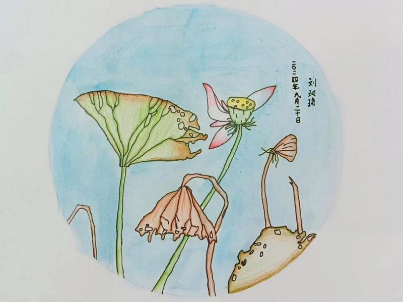 首页-人生就是博